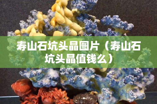 壽山石坑頭晶圖片（壽山石坑頭晶值錢么）
