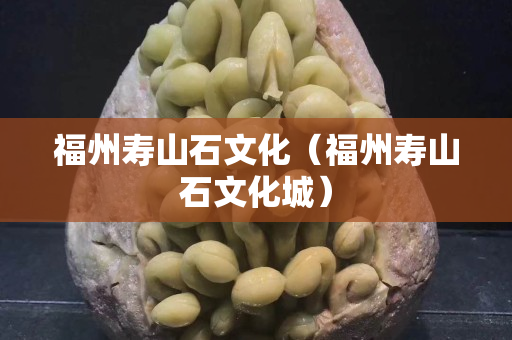 福州壽山石文化（福州壽山石文化城）
