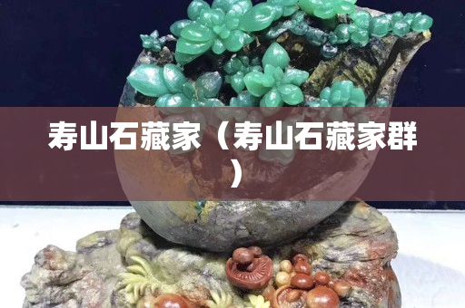 壽山石藏家（壽山石藏家群）