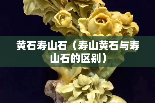 黃石壽山石（壽山黃石與壽山石的區別）