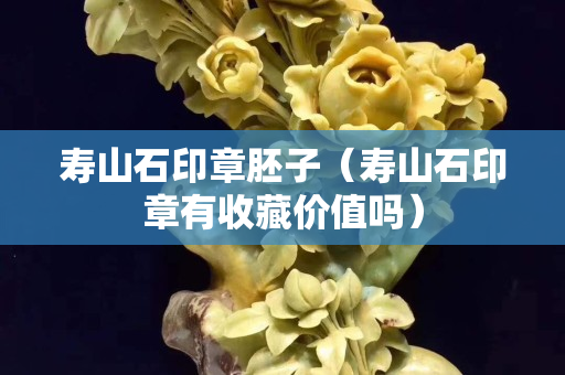 壽山石印章胚子（壽山石印章有收藏價值嗎）
