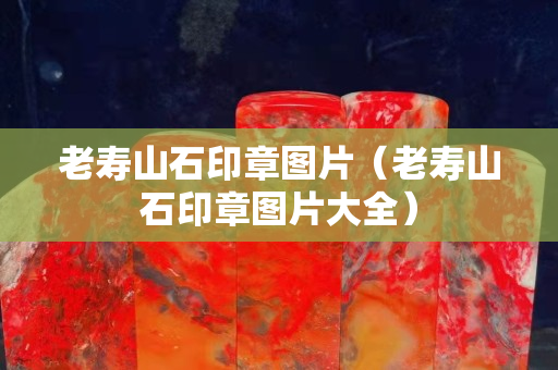 老壽山石印章圖片（老壽山石印章圖片大全）