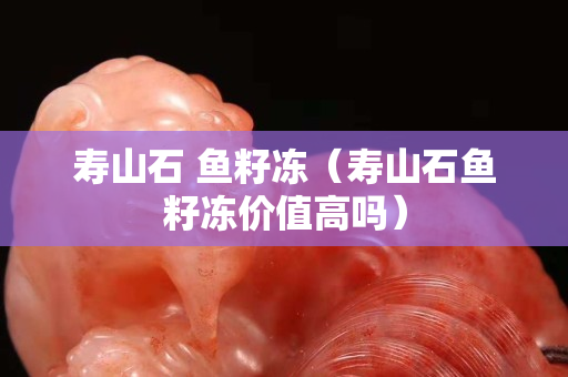 壽山石 魚籽凍（壽山石魚籽凍價(jià)值高嗎）
