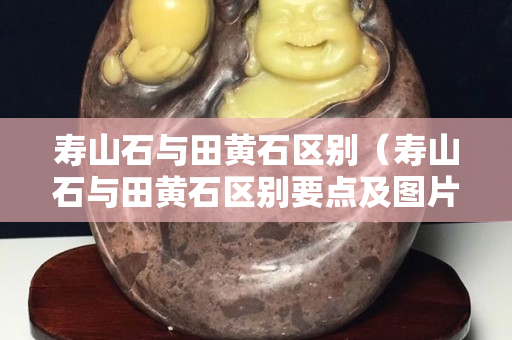 壽山石與田黃石區別（壽山石與田黃石區別要點及圖片）
