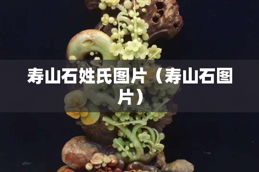 壽山石姓氏圖片（壽山石圖片）