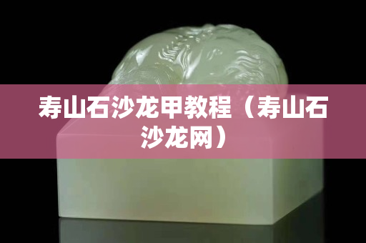 壽山石沙龍甲教程（壽山石沙龍網(wǎng)）