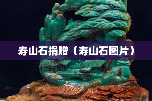 壽山石捐贈（壽山石圖片）