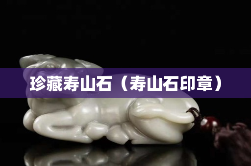 珍藏壽山石（壽山石印章）