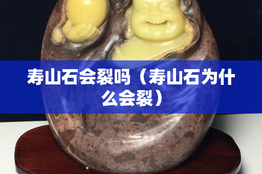 壽山石會裂嗎（壽山石為什么會裂）