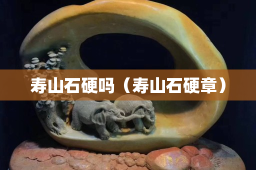壽山石硬嗎（壽山石硬章）
