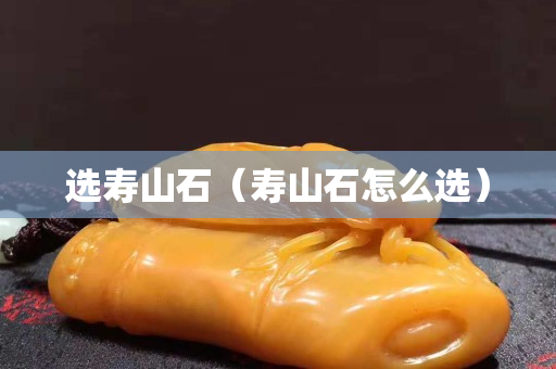 選壽山石（壽山石怎么選）