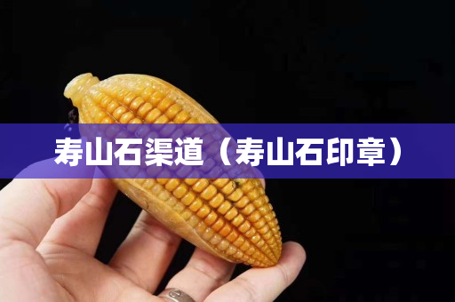 壽山石渠道（壽山石印章）