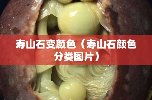 壽山石變顏色（壽山石顏色分類圖片）