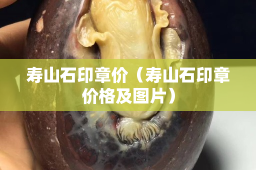 壽山石印章價(jià)（壽山石印章價(jià)格及圖片）