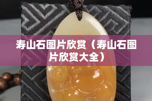 壽山石圖片欣賞（壽山石圖片欣賞大全）