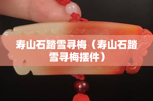 壽山石踏雪尋梅（壽山石踏雪尋梅擺件）