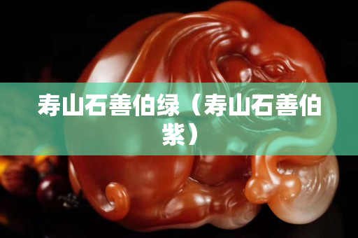壽山石善伯綠（壽山石善伯紫）