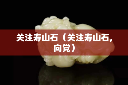 關注壽山石（關注壽山石,向黨）
