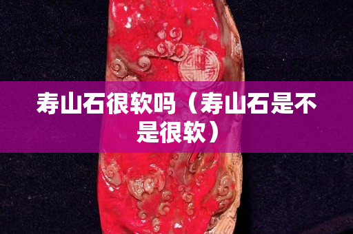 壽山石很軟嗎（壽山石是不是很軟）
