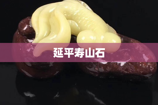 延平壽山石