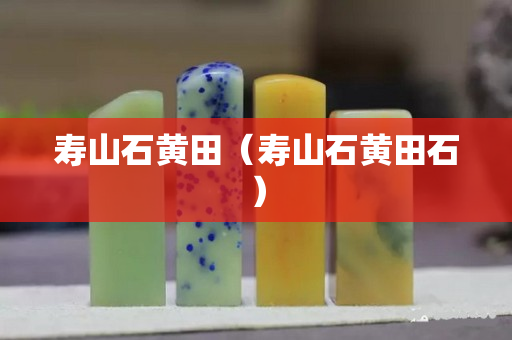 壽山石黃田（壽山石黃田石）