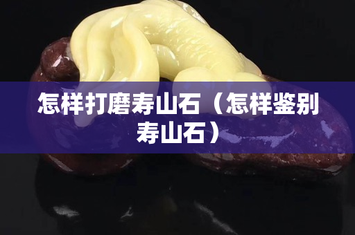 怎樣打磨壽山石（怎樣鑒別壽山石）