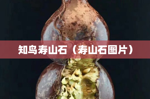 知鳥壽山石（壽山石圖片）