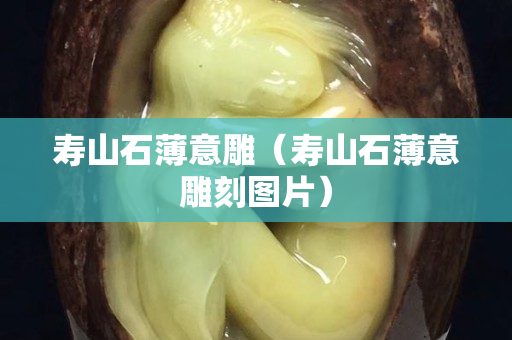 壽山石薄意雕（壽山石薄意雕刻圖片）