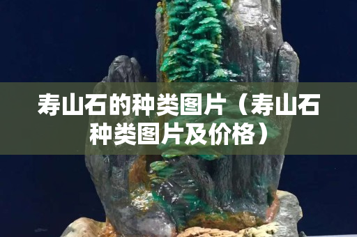 壽山石的種類圖片（壽山石種類圖片及價格）