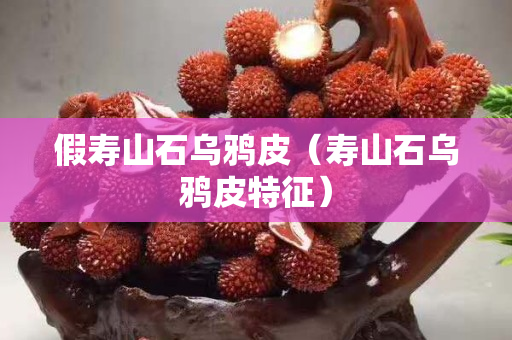 假壽山石烏鴉皮（壽山石烏鴉皮特征）