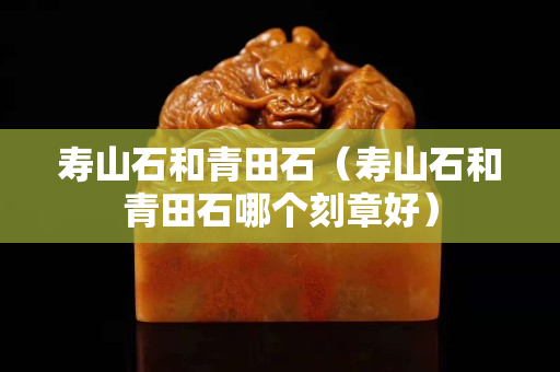 壽山石和青田石（壽山石和青田石哪個刻章好）