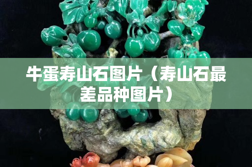 牛蛋壽山石圖片（壽山石最差品種圖片）