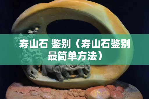 壽山石 鑒別（壽山石鑒別最簡單方法）
