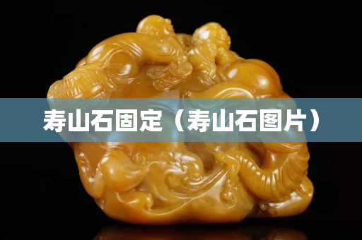 壽山石固定（壽山石圖片）