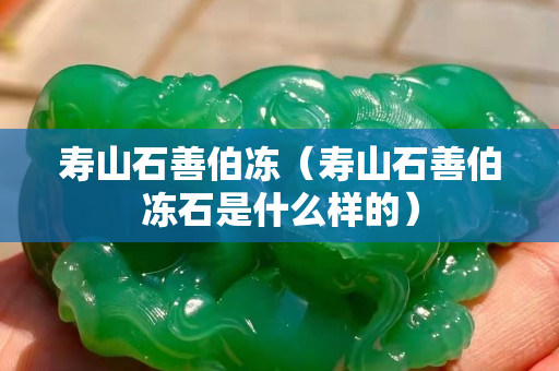 壽山石善伯凍（壽山石善伯凍石是什么樣的）