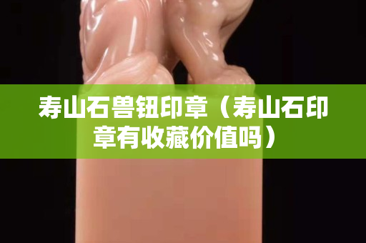 壽山石獸鈕印章（壽山石印章有收藏價值嗎）