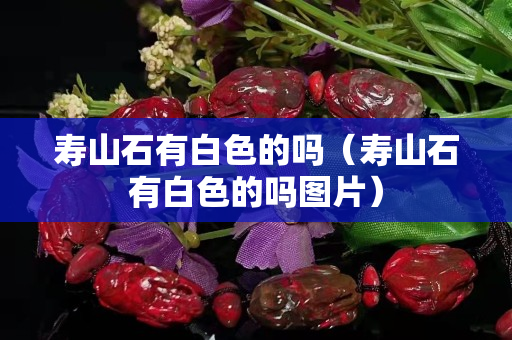 壽山石有白色的嗎（壽山石有白色的嗎圖片）