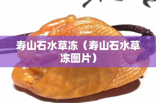 壽山石水草凍（壽山石水草凍圖片）