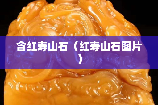 含紅壽山石（紅壽山石圖片）