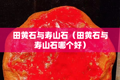 田黃石與壽山石（田黃石與壽山石哪個好）