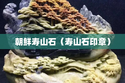 朝鮮壽山石（壽山石印章）