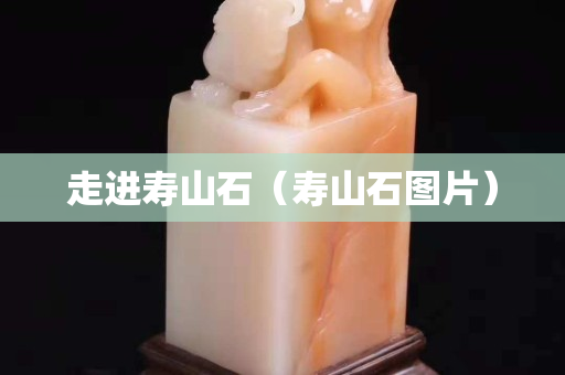 走進(jìn)壽山石（壽山石圖片）