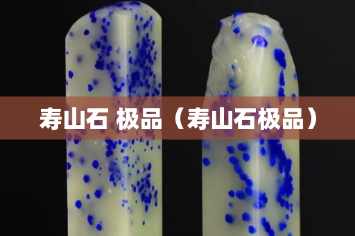壽山石 極品（壽山石極品）