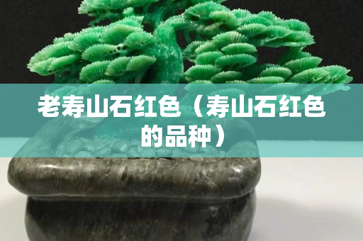 老壽山石紅色（壽山石紅色的品種）