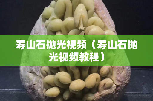 壽山石拋光視頻（壽山石拋光視頻教程）