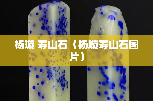 楊璇 壽山石（楊璇壽山石圖片）