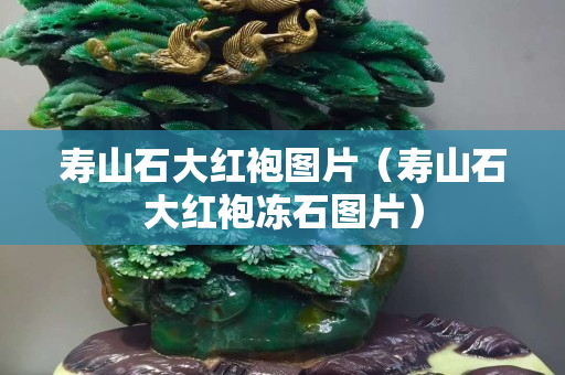壽山石大紅袍圖片（壽山石大紅袍凍石圖片）