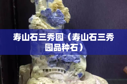 壽山石三秀園（壽山石三秀園品種石）