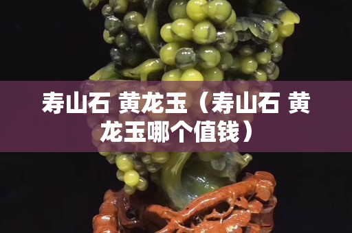 壽山石 黃龍玉（壽山石 黃龍玉哪個值錢）