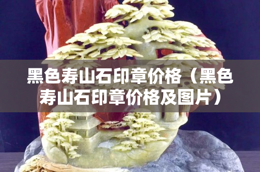 黑色壽山石印章價格（黑色壽山石印章價格及圖片）